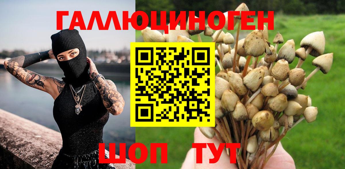 Балаково  Галлюциногенные грибы Magic Shrooms  Вход с VPN 